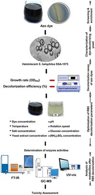 Performance of a Newly Isolated Salt-Tolerant Yeast Strain Sterigmatomyces halophilus SSA-1575 for Azo Dye Decolorization and Detoxification